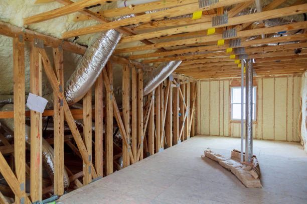 Best Geographic-Specific Insulation Services in Waupun, WI