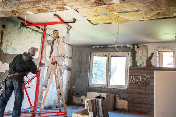 Best Eco-Friendly Insulation in Waupun, WI